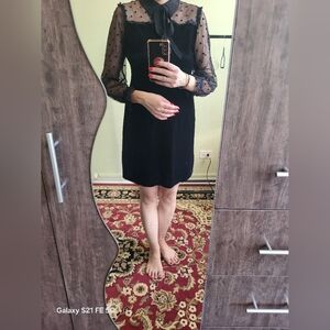 Elegant Black Sheer Sleeve Dress